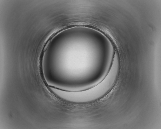 X0000113031181200908271448