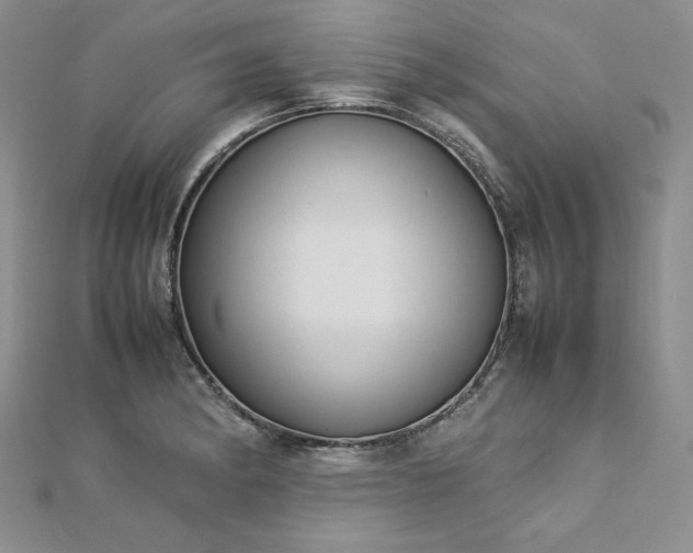 X0000113031182200908271448