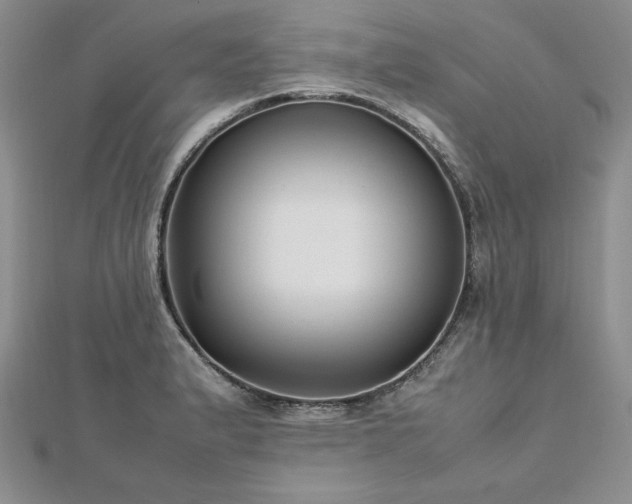 X0000113031183200908271448