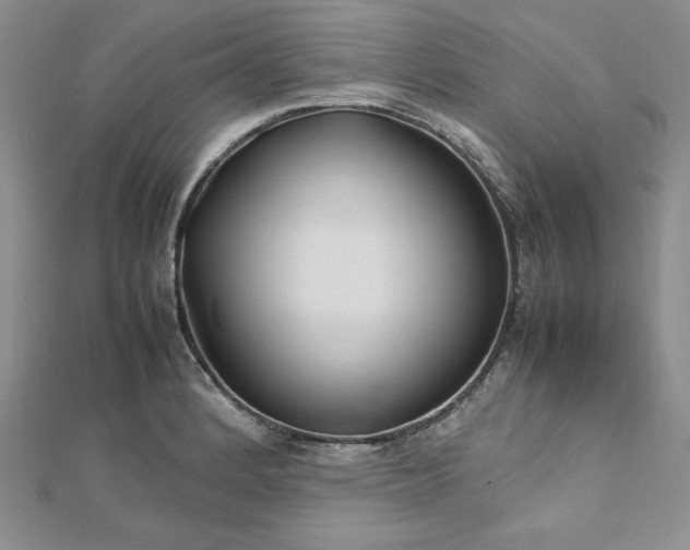 X0000113031184200908271448