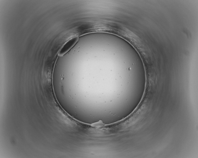 X0000113031185200908271448