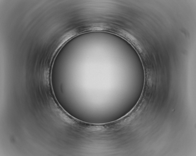 X0000113031186200908271448