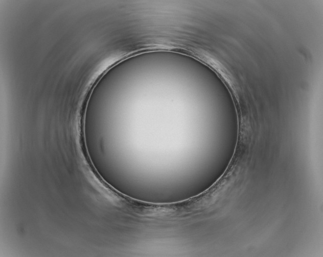 X0000113031187200908271448