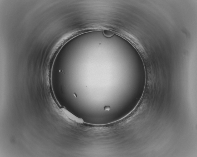 X0000113031188200908271448