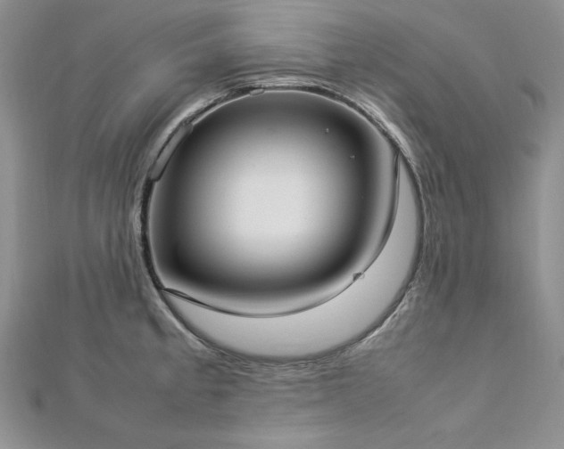 X0000113031189200908271448