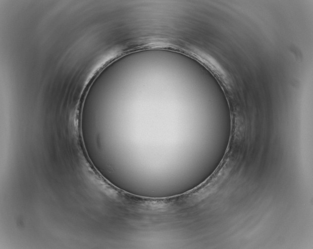 X0000113031190200908271448