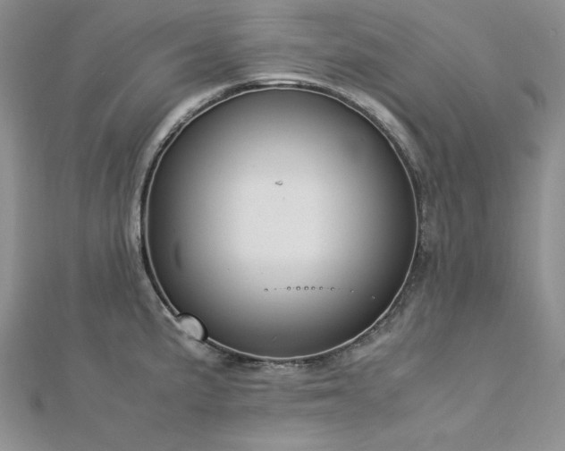 X0000113031191200908271448