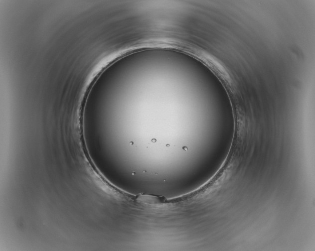 X0000113031192200908271448