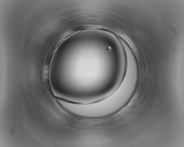 X0000113031193200908271448