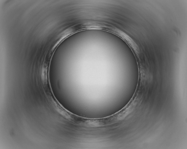 X0000113031194200908271448