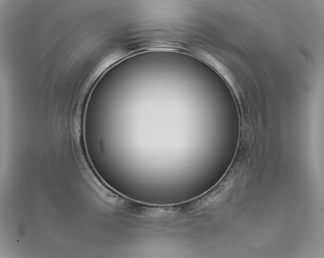 X0000113031195200908271448