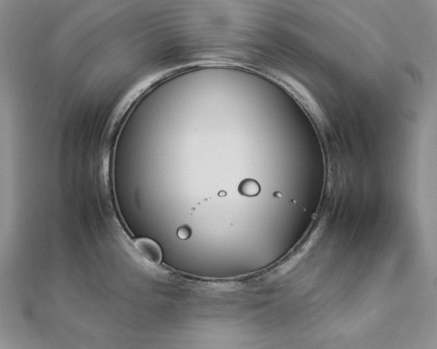 X0000113031196200908271448