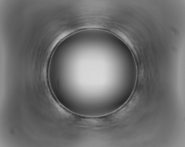 X0000113031197200908271448