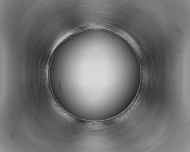 X0000113031198200908271448