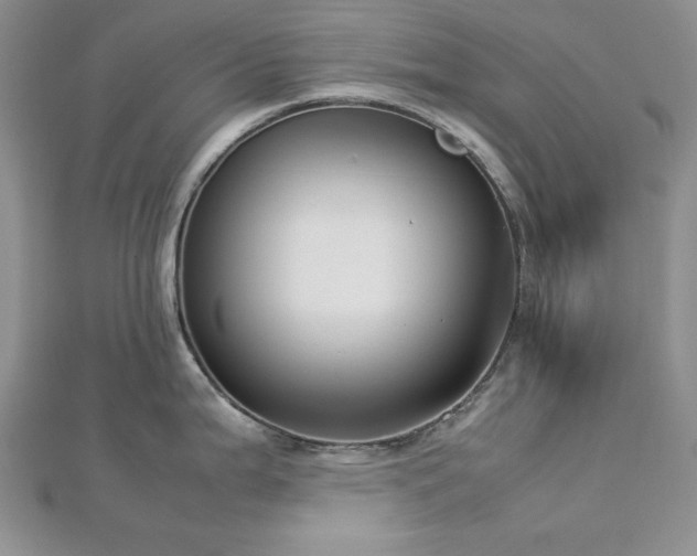 X0000113031199200908271448