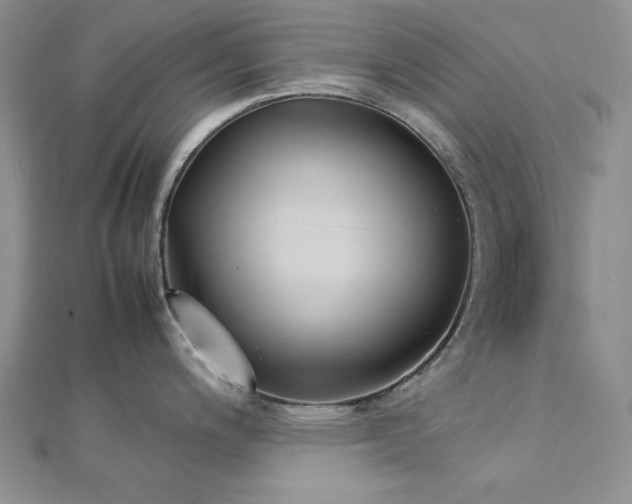 X0000113031200200908271448