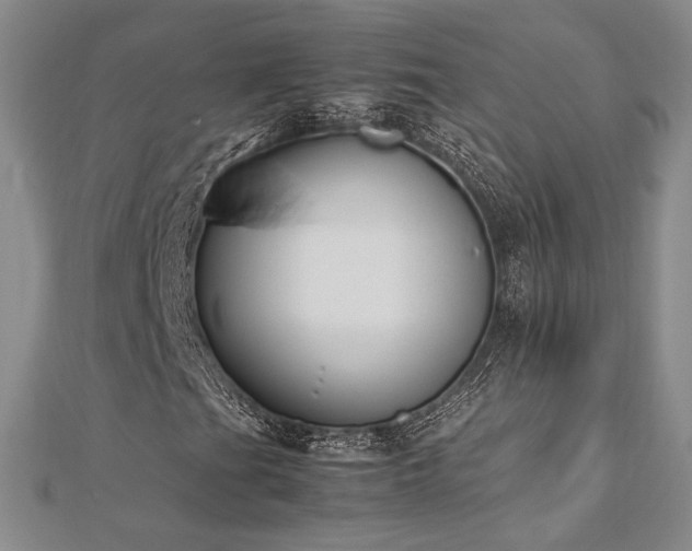 X0000113031201200908271447