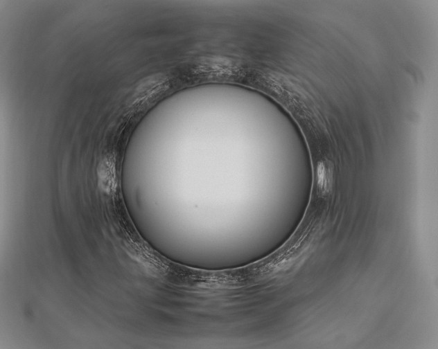 X0000113031203200908271447