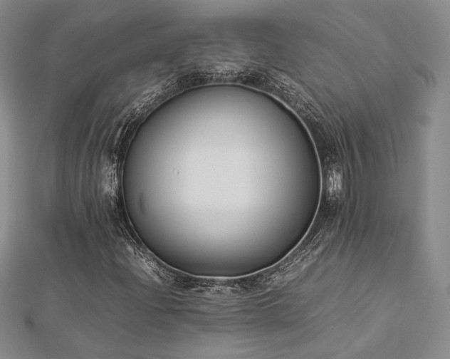 X0000113031204200908271447