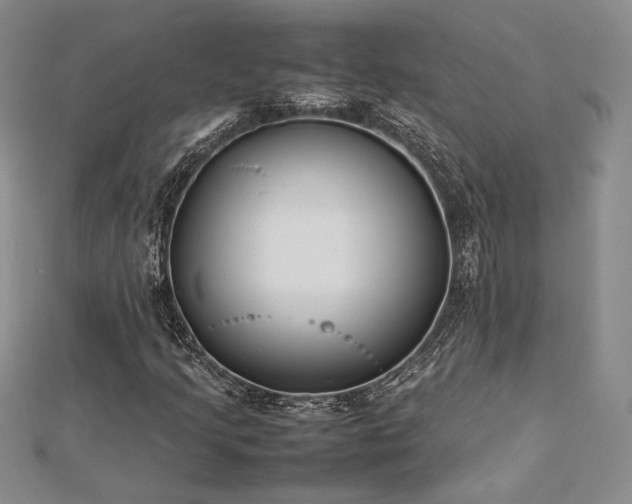 X0000113031205200908271447