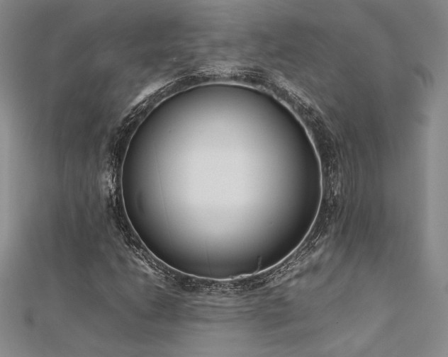 X0000113031206200908271447