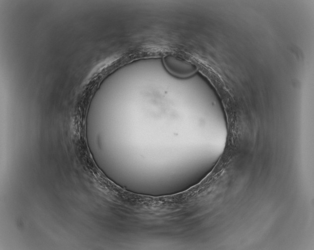 X0000113031207200908271447