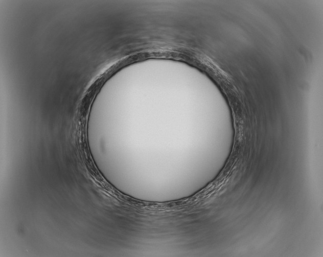 X0000113031208200908271447