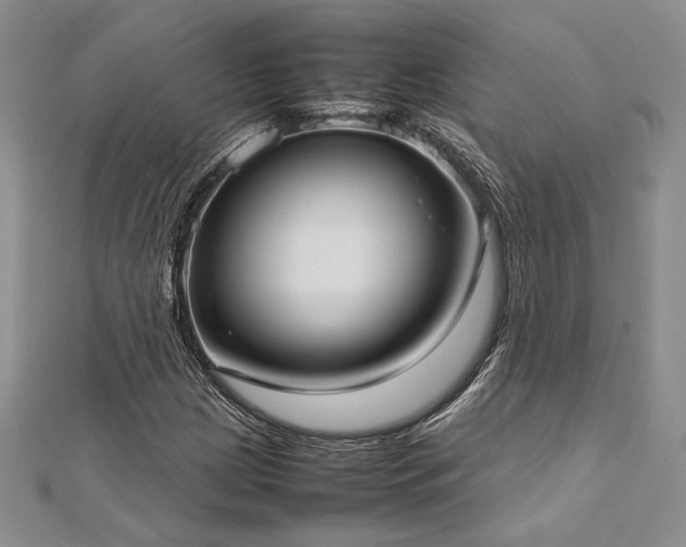 X0000113031209200908271447