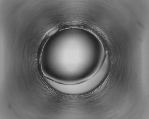 X0000113031210200908271448