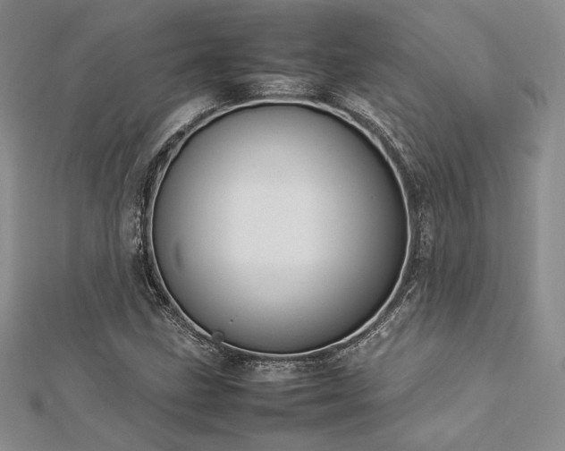 X0000113031211200908271448