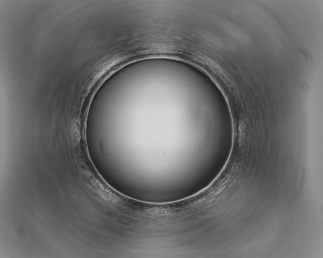 X0000113031212200908271448