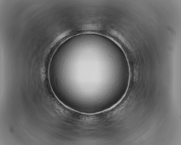 X0000113031213200908271448