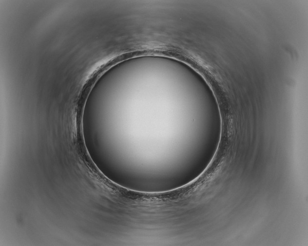 X0000113031214200908271448