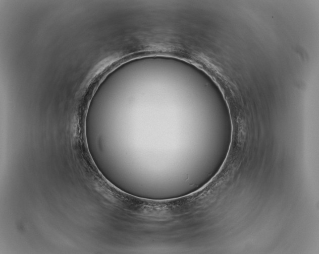 X0000113031215200908271448