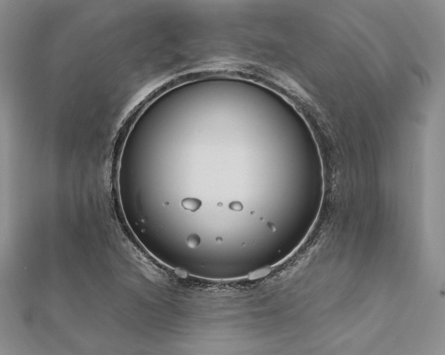 X0000113031216200908271448