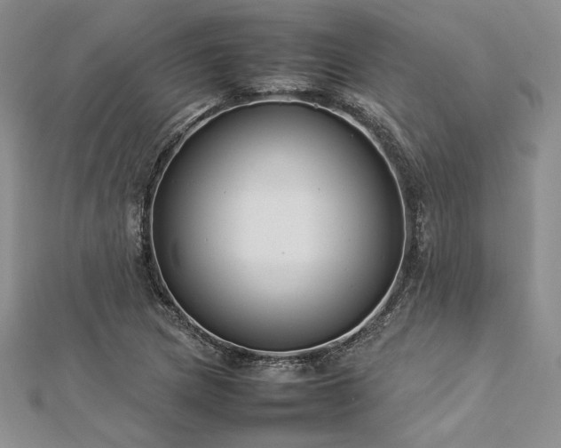 X0000113031217200908271448