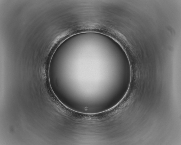 X0000113031218200908271448