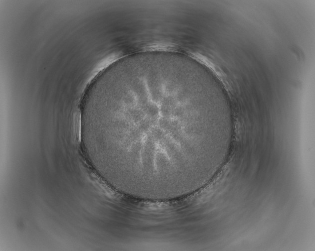 X0000113031219200908271448