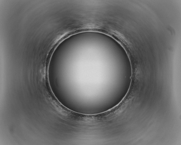 X0000113031220200908271448