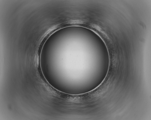 X0000113031221200908271448