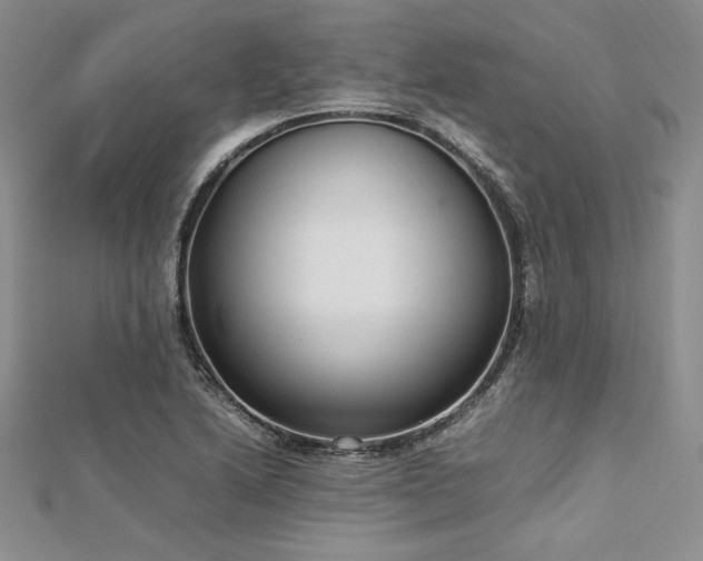 X0000113031222200908271448