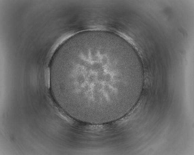 X0000113031223200908271448