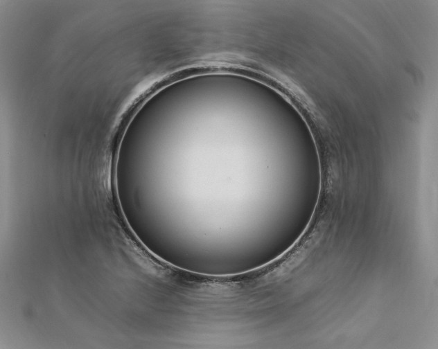 X0000113031224200908271448