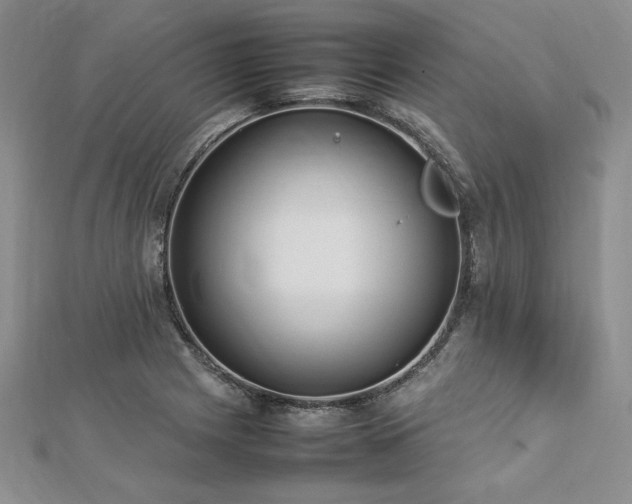 X0000113031225200908271448