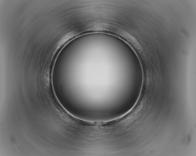 X0000113031226200908271448