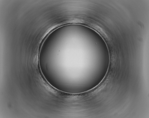 X0000113031228200908271448