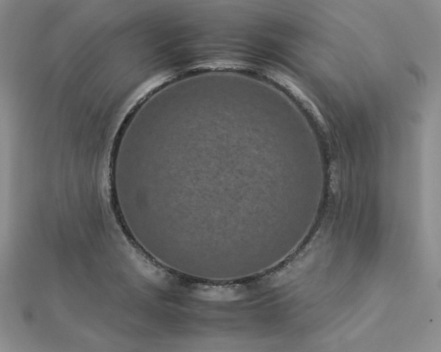 X0000113031229200908271448