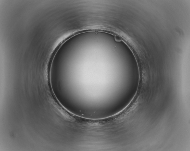 X0000113031230200908271448