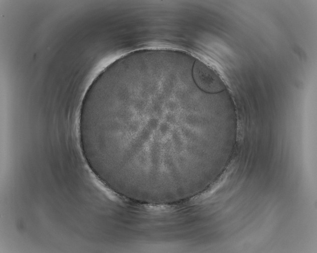 X0000113031231200908271448