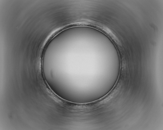 X0000113031232200908271448